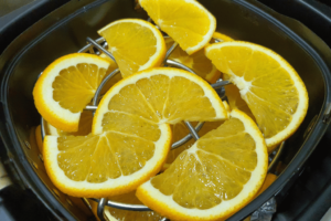 how to dehydrate lemons in air fryer