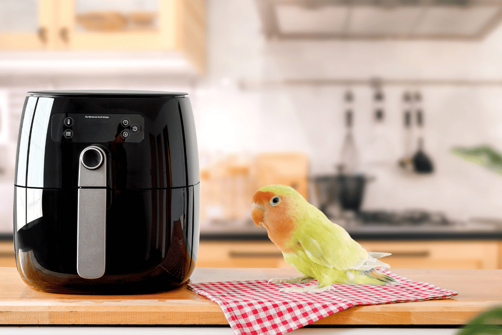 Are Air Fryers Bad for Birds? Risks, Precautions & Safety Tips